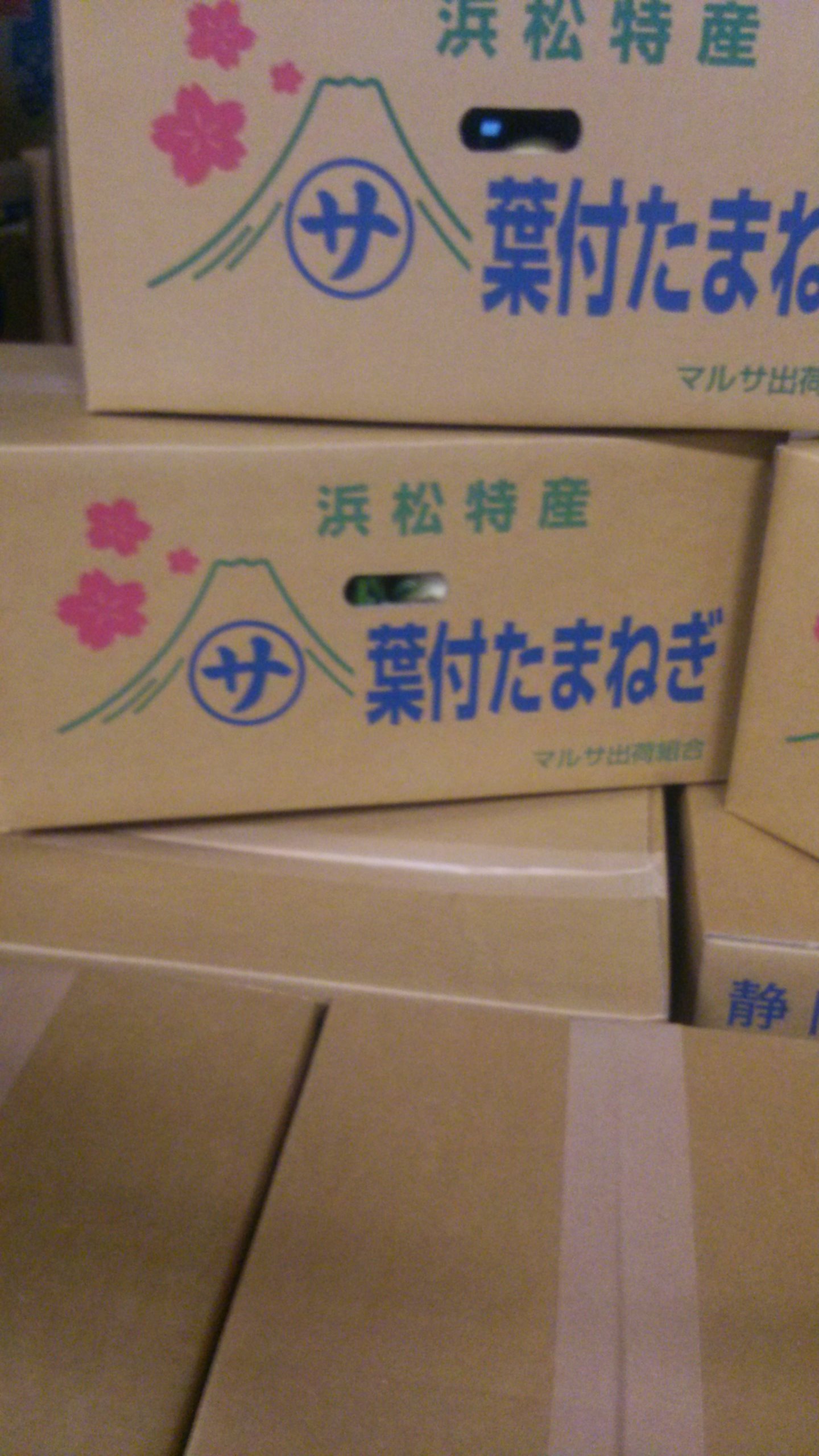 新玉ねぎ